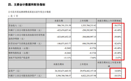 南國置業半年報分析 毛利率28.7%但仍虧損4.23億，物業管理業態承壓